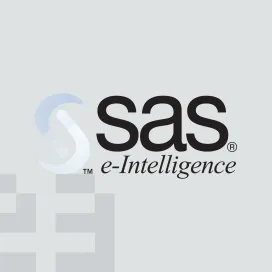 Sas Institute